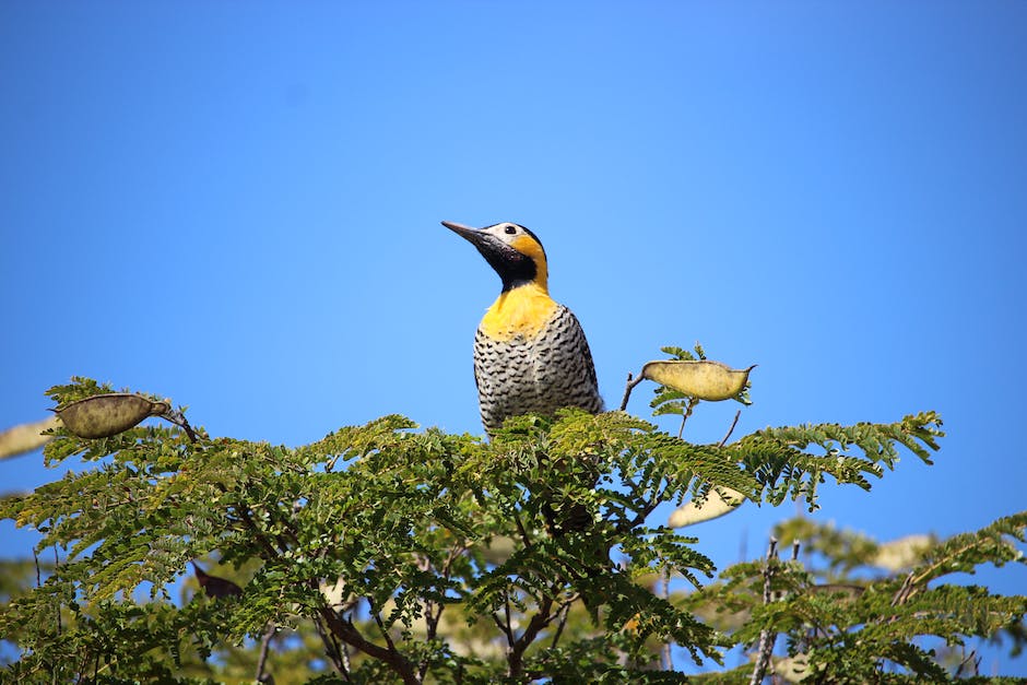 clinica para drogados involuntário Campo Mourão no PR Inicie sua recuperação em Candeias.