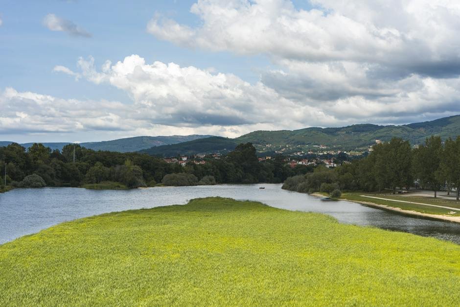 internação compulsória liberdade e vida Rio Claro em SP Cuide de você com a clinic de recuperação de Rio Claro!